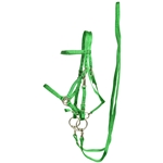 ****PHOTO SAMPLE*** $25 Green Nylon Halter Bridle with Bit Hangers and Matching Reins - Horse Size