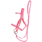 ****PHOTO SAMPLE*** $25 Hot Pink Nylon Halter Bridle with Bit Hangers and Matching Reins - Horse Size