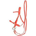 ****PHOTO SAMPLE*** $25 Orange Nylon Halter Bridle with Bit Hangers and Matching Reins - Horse Size