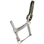 ****PHOTO SAMPLE*** $25 Gray Beta Biothane Safety Halter with Leather Breakaway Crown - Horse Size