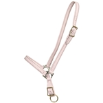 ****PHOTO SAMPLE*** $10 Lavender Beta Biothane Grooming Halter - Horse Size