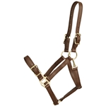 ****PHOTO SAMPLE*** $25 Dark Brown Beta Biothane Buckle Nose Halter - Horse Size