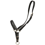 ****PHOTO SAMPLE*** $10 Black Beta Biothane Grooming Halter - Warmblood/TB/Large Horse/Draft Cross Size
