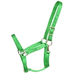 ****PHOTO SAMPLE*** $10 Green Nylon Halter with Throatlatch Snap - Horse Size
