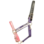 CUSTOM RAINBOW Beta Biothane Halter