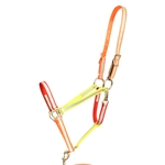 CUSTOM RAINBOW Beta Biothane Halter