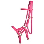 ****FLASH SALE**** $75 Any Color, Any Size Halter Bridle with Bit Hangers and Matching Reins made from Beta Biothane