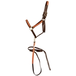 ****PHOTO SAMPLE*** $20 Dark Brown Beta Biothane with Orange Overlay Halter and Matching Lead - Horse Size