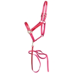 ****PHOTO SAMPLE*** $20 Magenta Pink Beta Biothane with Red Overlay Halter and Matching Lead - Horse Size