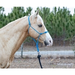 ****PHOTO SAMPLE*** $15 Blue Stiff Rope 4 Knot Halter - Horse Size