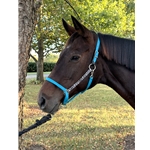 BETA BIOTHANE Safety Halter with Leather Breakaway Tab