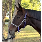 HALTER & LEAD made from BETA BIOTHANE (Solid Colored)
