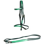 ****PHOTO SAMPLE*** $20 Hunter Green Beta Biothane with Green Overlay English Bridle & Reins - Horse Size