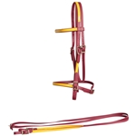 ****PHOTO SAMPLE*** $20 Wine/Maroon Beta Biothane with Sunflower Yellow English Bridle & Matching Reins - Horse Size