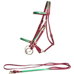 ****PHOTO SAMPLE*** $20 Wine/Maroon Beta Biothane with Green Overlay Halter Bridle with Bit Hangers & Matching Reins - Horse Size
