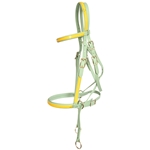 ****PHOTO SAMPLE*** $15 Sage Green Beta Biothane with Sunflower Yellow Overlay 2 in 1 Bitless Bridle Headstall - Horse Size