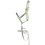 ****PHOTO SAMPLE*** $20 Sage Green Beta Biothane with Purple Overlay Halter & Matching Lead - Horse Size