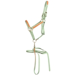 ****PHOTO SAMPLE*** $20 Sage Green Beta Biothane with Orange Overlay Halter & Matching Lead - Horse Size