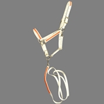 ****PHOTO SAMPLE*** $20 White Beta Biothane with Orange Overlay Halter with Matching Lead - Horse Size