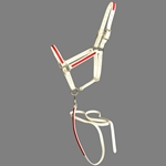 ****PHOTO SAMPLE*** $20 White Beta Biothane with Red Overlay Halter with Matching Lead - Horse Size