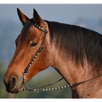 black BLING Western Bridle (One or Two Ear Split Ear Browband)
