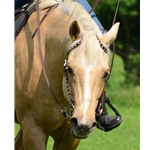 brown SPOTTED Beta Biothane Western Bridle (One or Two Ear Split Ear Browband)