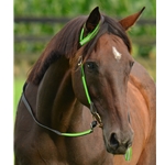 limegreen REFLECTIVE Western Bridle (One or Two Ear Split Ear Browband)