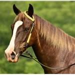 yellow REFLECTIVE Western Bridle (One or Two Ear Split Ear Browband)