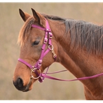 LEATHER Quick Change Halter Bridle with Snap on Browband