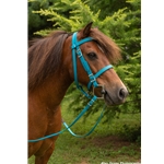 PICNIC BRIDLE or SIMPLE HALTER BRIDLE made from Beta Biothane