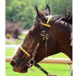 RACING BRIDLE Headstall made from Beta Biothane (ANY 2 Color Combo) English Bridle
