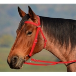 RED AUSTRALIAN BARCOO OUTRIDER AUSSIE BRIDLE made from BETA BIOTHANE