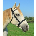 black leather  LEATHER 2 in 1 Bitless Bridle