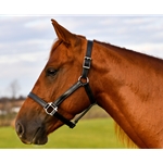 ****BETTER THAN LEATHER ****STABLE Halter made from BETA BIOTHANE