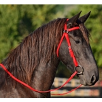 AUSTRALIAN BARCOO OUTRIDER AUSSIE BRIDLE made from BETA BIOTHANE