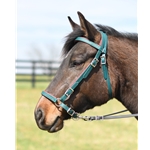 PADDED Simple Sidepull Bitless Bridle made from BETAWestern Style Bitless Bridle Made From Beta Biothane with Colored Synthetic Padding - Two Horse Tack BIOTHANE with COLORED SYNTHETIC PADDING