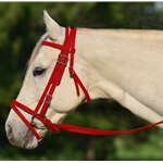 RED ENGLISH BRIDLE with CAVESSON made from BETA BIOTHANE