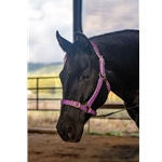 Buckle Nose Halter & Lead Beta Biothane Solid Colored