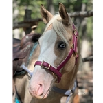 Buckle Nose Halter & Lead Beta Biothane Solid Colored