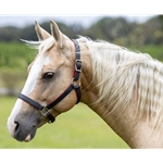 Padded Halter made from BETA BIOTHANE with NO RUB Padding