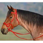 RED SIDEPULL Bitless Bridle made from BETA BIOTHANE