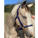 Padded Halter made from BETA BIOTHANE with NO RUB Padding