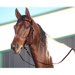 BROWN WESTERN BRIDLE (Full Browband) made from BETA BIOTHANE