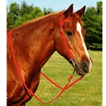 RED WESTERN BRIDLE (One Ear or Two Ear Split Ear Browband) made from BETA BIOTHANE