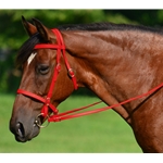 RED ENGLISH CONVERT-A-BRIDLE made from BETA BIOTHANE