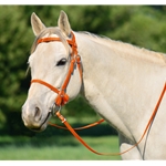 ORANGE PICNIC BRIDLE or SIMPLE HALTER BRIDLE made from Beta Biothane