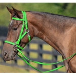 LIME GREEN Quick Change HALTER BRIDLE with Snap on Browband made from BETA BIOTHANE