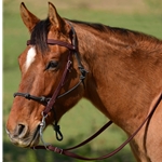 BROWN Snap on Browband WESTERN BRIDLE made from BETA BIOTHANE