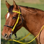 Two Horse Tack - SUNFLOWER YELLOW Colored Tack