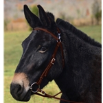 BROWN MULE BRIDLE made from BETA BIOTHANE